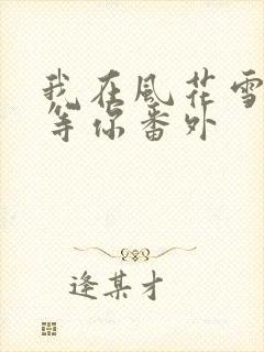 我在风花雪月里等你番外