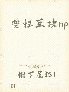 双性互攻np