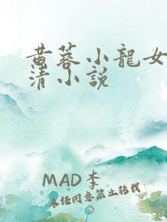 黄蓉小龙女左剑清小说