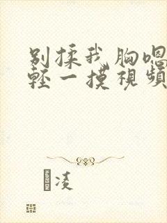别揉我胸嗯啊轻轻一摸视频