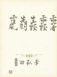 霍先生乖乖宠我风羽轻轻著
