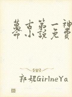 万古第一神李天命小说免费阅读