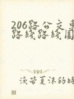 206路公交车路线路线图