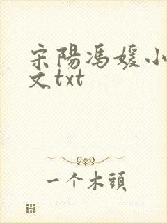 宋阳冯媛小说全文txt