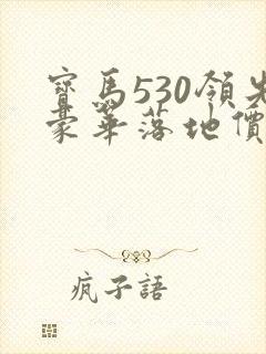 宝马530领先豪华落地价 宝马530领先豪华落地价
