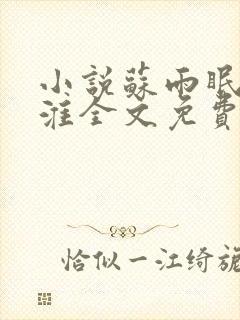 小说苏雨眠江易淮全文免费阅读