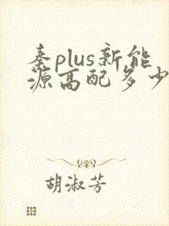 秦plus新能源高配多少钱一辆