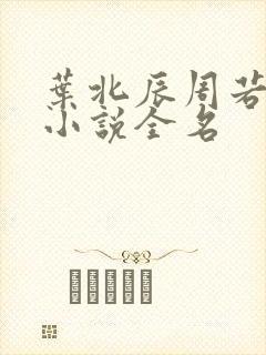 叶北辰周若妤的小说全名