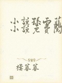 小说孙雨菲主角小说免费阅读全文
