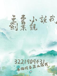 免费小说我有一剑叶观