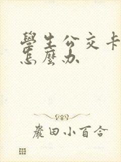 学生公交卡丢了怎么办