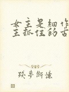 女主是细作被男主抓住的古言