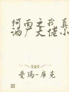 柯南之我真不是酒厂大佬小说
