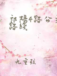 祁阳4路公交车路线