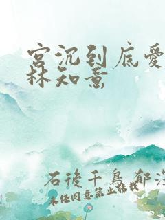 宫沉到底爱不爱林知意