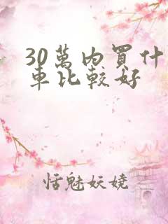 30万内买什么车比较好