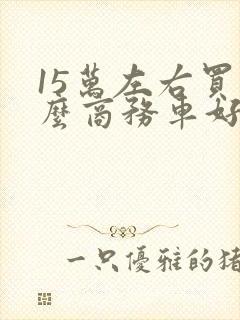 15万左右买什么商务车好 15万左右买什么商务车好