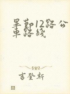 毕节12路公交车路线