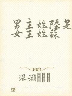 男主姓陆是律师女主姓苏