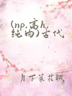 (np,高h,纯肉)古代