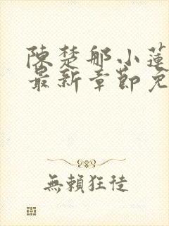 陈楚那小莲小说最新章节免费阅读
