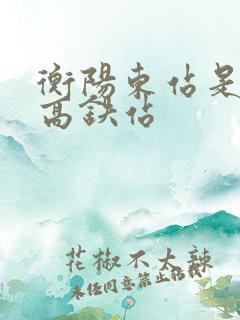 衡阳东站是不是高铁站