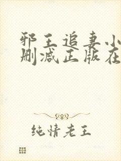 邪王追妻小说无删减正版在线阅读