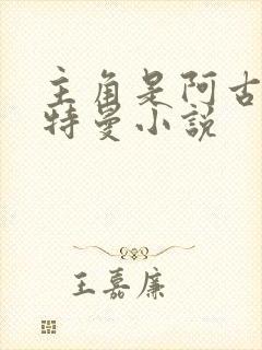 主角是阿古茹奥特曼小说