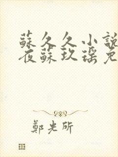 苏久久小说顾寒夜苏玖瑶免费阅读