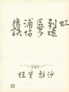 杨浦区到虹桥高铁站多远