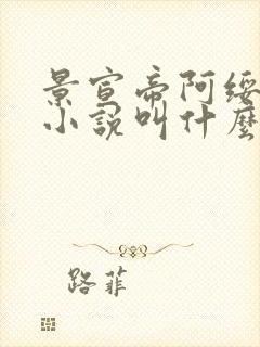 景宣帝阿绥原著小说叫什么名字