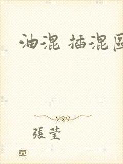 油混 插混区别