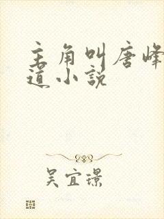 主角叫唐峰的黑道小说