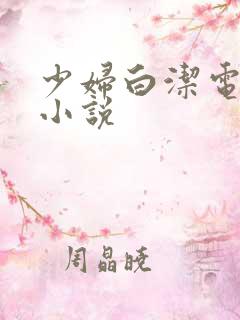 少妇白洁电子书小说