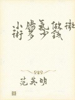 小肠气做微创手术多少钱
