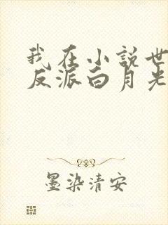 我在小说世界当反派白月光小说免费阅读txt