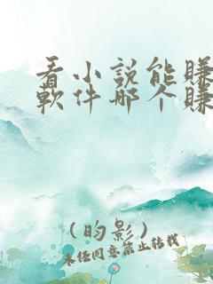 看小说能赚钱的软件哪个赚得多