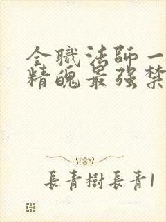 全职法师一天一精魄最强禁咒免费