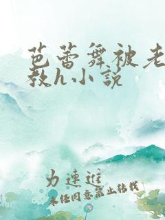 芭蕾舞被老师调教h小说