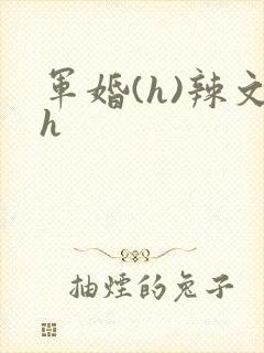 军婚(h)辣文h