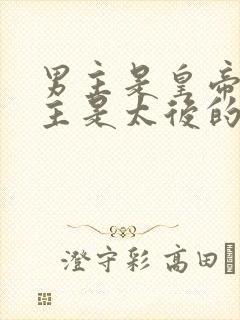 男主是皇帝,女主是太后的小说