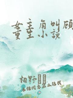 女主角叫顾清欢重生小说 女主角叫顾清欢重生小说