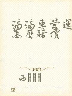 滴滴车营运损失怎么赔偿