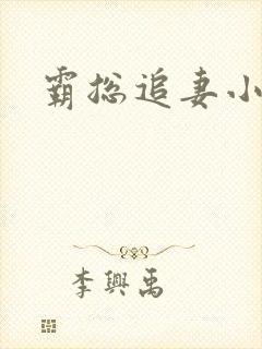 霸总追妻小说