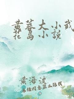 黄蓉大小武在桃花岛小说