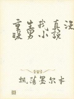 重生我真没想当暖男小说