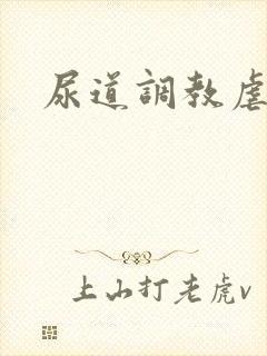 尿道调教虐身文