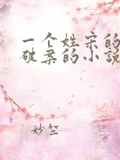 一个姓宋的仵作破案的小说