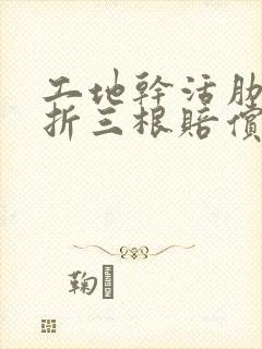 工地干活肋骨骨折三根赔偿多少