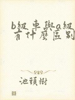 b级车与a级车有什么区别